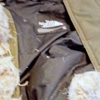 The North Face Outlets at Castle Rock - Northface Coat returned with balled up feathers in it purchased a couple of years ago. - Sports Wear Near Me - Castle Rock, Colorado The North Face Outlets at Castle Rock - Northface Coat returned with balled up feathers in it purchased a couple of years ago. - Sports Wear Near Me - Castle Rock, Colorado