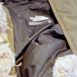 The North Face Outlets at Castle Rock - Northface Coat returned with balled up feathers in it purchased a couple of years ago.