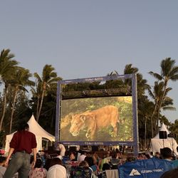 Sunset On the Beach