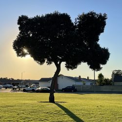 Coronet Park