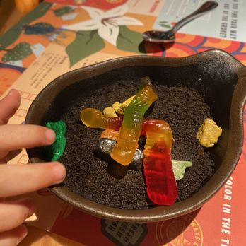 Sanaa - Dirt cup - one of the many side options on the kids menu. - Indian Near Me - Lake Buena Vista, Florida Sanaa - Dirt cup - one of the many side options on the kids menu. - Indian Near Me - Lake Buena Vista, Florida