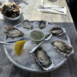 Oysters