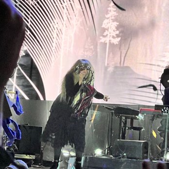 Bonnaroo Festival - Stevie Nicks Bonnaroo - Festivals Near Me - Manchester, Tennessee