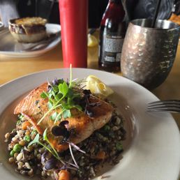 Salmon