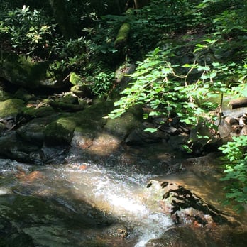 Anna Ruby Falls - Hiking Near Me - White, Georgia Anna Ruby Falls - Hiking Near Me - White, Georgia