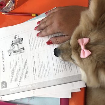 Best French Tutor - Language Schools Near Me - Miami, Florida