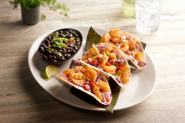 Rainforest Cafe by null