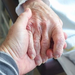Senior Shield Home Care