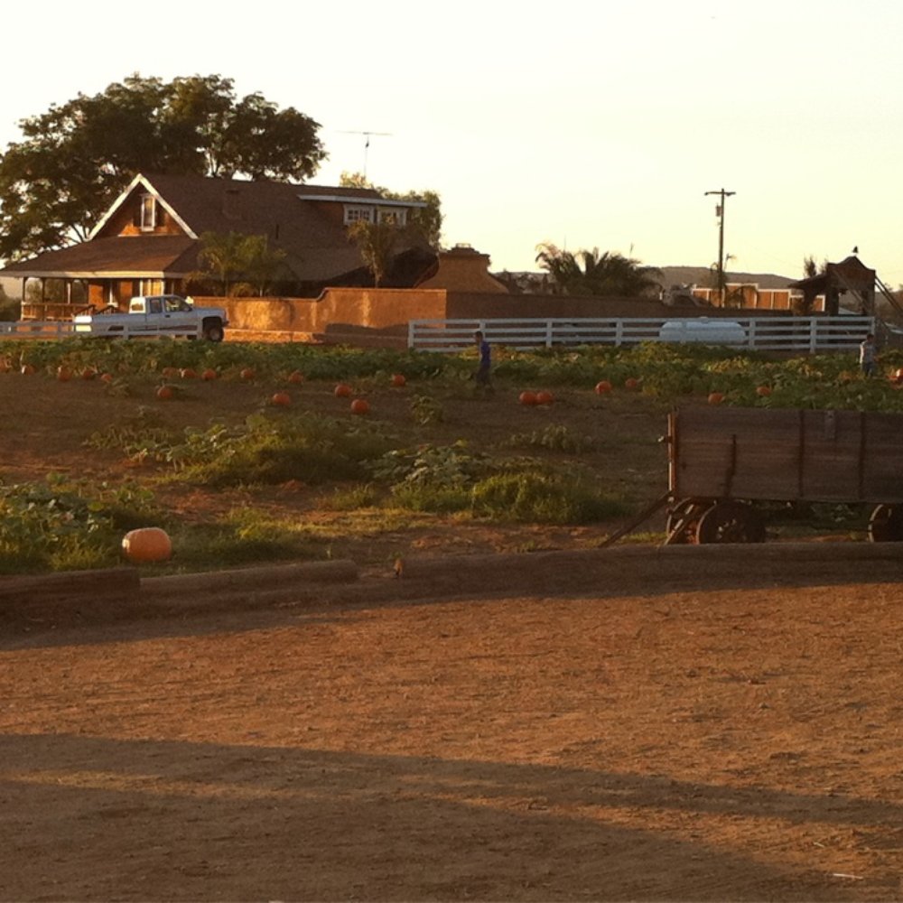 Mountain Valley Ranch - Pumpkin Patches Near Me - Ramona, California Mountain Valley Ranch - Pumpkin Patches Near Me - Ramona, California