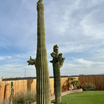 Martin Hardscape - Landscaping Near Me Martin Hardscape - Landscaping Near Me