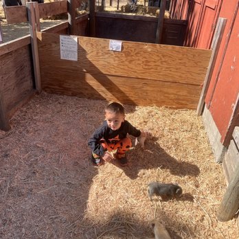 Impossible Acres Farm - Pick Your Own Farms Near Me - Davis, California