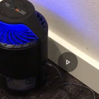Northwest Apartments - Screenshot of video of fly catcher in hallway. See flies at the bottom. - Property Management Near Me - Seattle, Washington Northwest Apartments - Screenshot of video of fly catcher in hallway. See flies at the bottom. - Property Management Near Me - Seattle, Washington