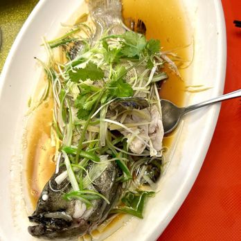 Ocean Bay Seafood Restaurant - Steamed Live Fish - Seafood Near Me - Elmhurst, New York Ocean Bay Seafood Restaurant - Steamed Live Fish - Seafood Near Me - Elmhurst, New York