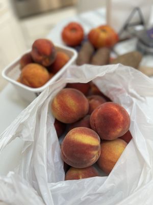 State Farmers Market by null