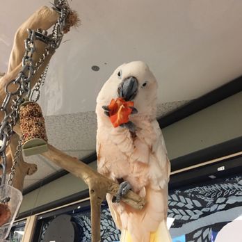 Sidney Pet Centre - Pet Stores Near Me - Sidney, British Columbia Sidney Pet Centre - Pet Stores Near Me - Sidney, British Columbia
