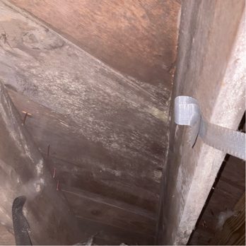 DeTect Termite & Moisture Service and The Brickkicker - Home Inspectors Near Me - Norfolk, Virginia DeTect Termite & Moisture Service and The Brickkicker - Home Inspectors Near Me - Norfolk, Virginia