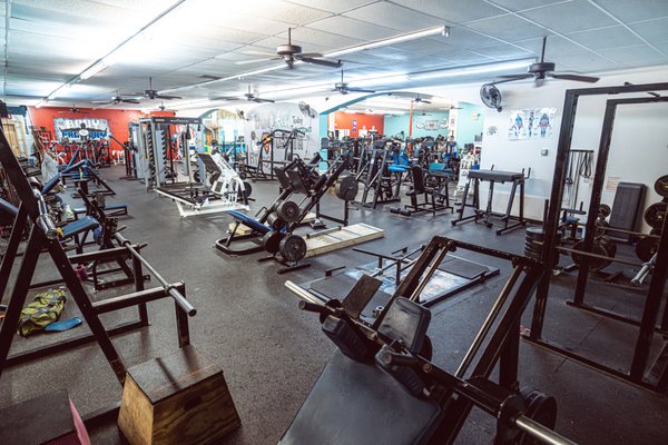 The Body Factory Health & Fitness Center by null