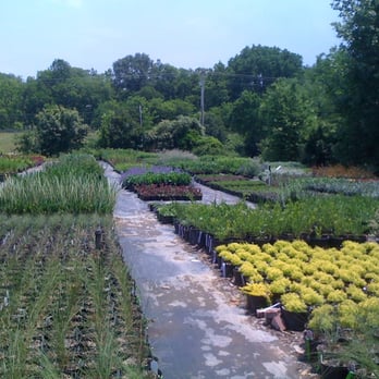 Hewitt Garden & Design Center - Nurseries & Gardening Near Me - Franklin, Tennessee