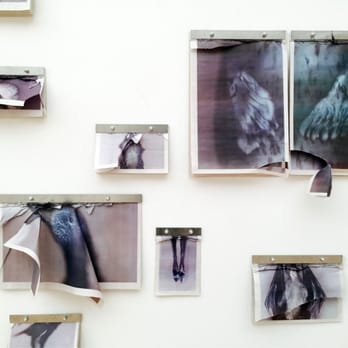 Henry Art Gallery - Ann Hamilton; the common SENSE; 2015 - Art Museums Near Me - Seattle, Washington Henry Art Gallery - Ann Hamilton; the common SENSE; 2015 - Art Museums Near Me - Seattle, Washington