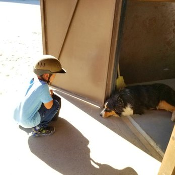 Smoke Tree Stables - Such a cute puppy (he was only 6 mos old) - Horseback Riding Near Me - Palm Springs, California