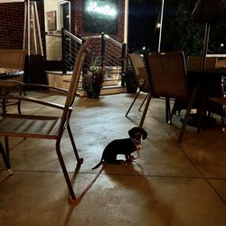 Pace's Pizzeria - Isabel bids Pace's Thank You & Good Night