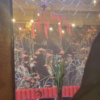 Kokomo - Amazing ambiance - Caribbean Near Me - Brooklyn, New York