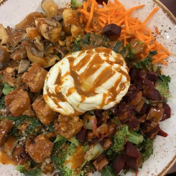 Life Alive Organic Cafe Kendall Square - Chili Garlic Mushroom Bibimbap - Juice Bars & Smoothies Near Me - Cambridge, Massachusetts Life Alive Organic Cafe Kendall Square - Chili Garlic Mushroom Bibimbap - Juice Bars & Smoothies Near Me - Cambridge, Massachusetts