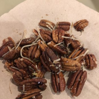 Stone Oven - At least a cup of pecans that I didn't ask for in my Green Apple and WALNUT salad - Salad Near Me - Canoga Park, California