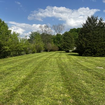 Green-Haven Landscaping - Regained the control of this clients yard - Landscaping Near Me Green-Haven Landscaping - Regained the control of this clients yard - Landscaping Near Me