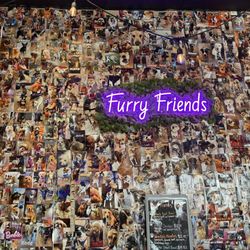 Friends Cafe - Wall of furry friends