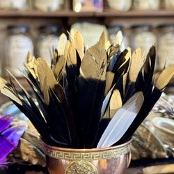 Mystic Minerals Metaphysical Herb Shop