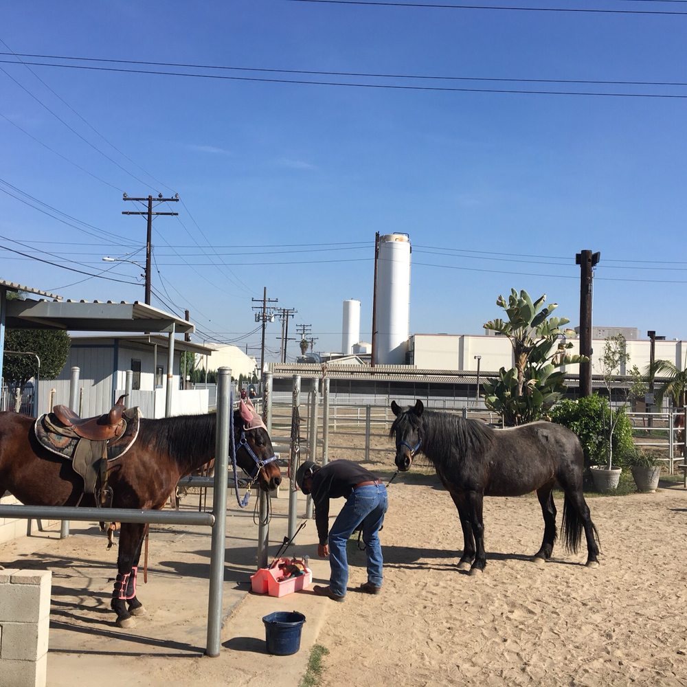 Imperial Equestrian Center - Horseback Riding Near Me - South Gate, California Imperial Equestrian Center - Horseback Riding Near Me - South Gate, California