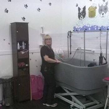 Paws On The Avenue - Pet Groomers Near Me - Belfast, BFS
