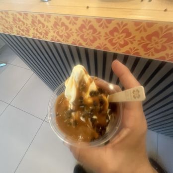 Aleia Yogurt House - Ice Cream & Frozen Yogurt Near Me - Coconut Creek, Florida Aleia Yogurt House - Ice Cream & Frozen Yogurt Near Me - Coconut Creek, Florida