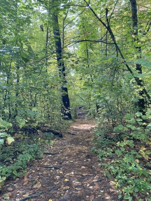 Monument Mountain Reservation by null