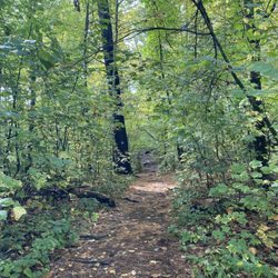 Monument Mountain - The blue trail
