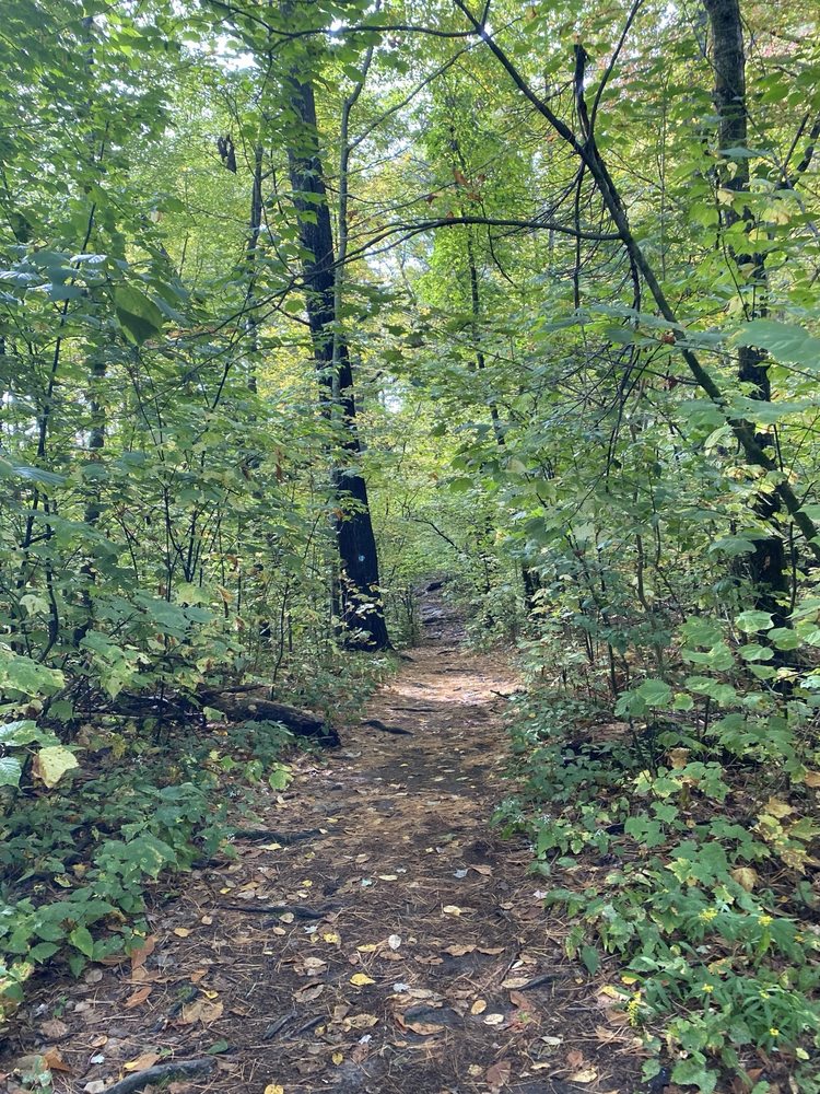 Social spots from Monument Mountain