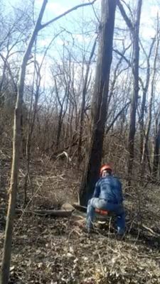 Tree Removal - Why is it important to remove trees?
As trees get older, the roots will continue to grow. Depending on where the tree is positioned, overgrown tree routes can cause a serious problem to its surroundings. The roots can grow so much that they can uplift concrete, causing major damage to nearby roads and pathways. Tree Removal - Why is it important to remove trees?
As trees get older, the roots will continue to grow. Depending on where the tree is positioned, overgrown tree routes can cause a serious problem to its surroundings. The roots can grow so much that they can uplift concrete, causing major damage to nearby roads and pathways.