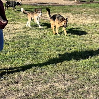 Potso Dog Park - Doggies - Dog Parks Near Me - Tigard, Oregon Potso Dog Park - Doggies - Dog Parks Near Me - Tigard, Oregon
