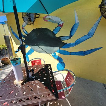 Blue Dog Bar & Grill - Bars Near Me - Matlacha, Florida