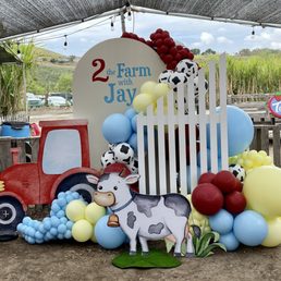 Balloon display