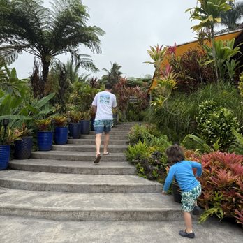 Hana Farms - Exploring! - Attraction Farms Near Me - Hana, Hawaii