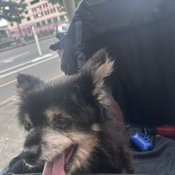 ElixRx - This is my 18 going on 19 baby whom i get the meds for
