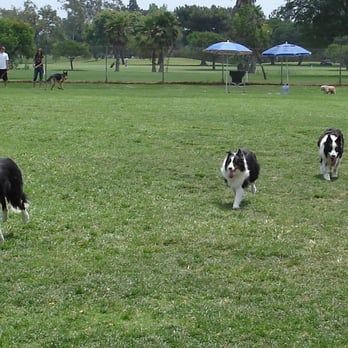 Arbor Dog Park - Dog Parks Near Me - Los Alamitos, California Arbor Dog Park - Dog Parks Near Me - Los Alamitos, California