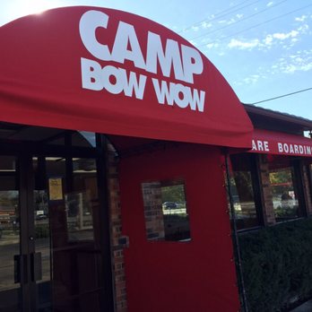 Camp Bow Wow - Pet Training Near Me - Elmhurst, Illinois