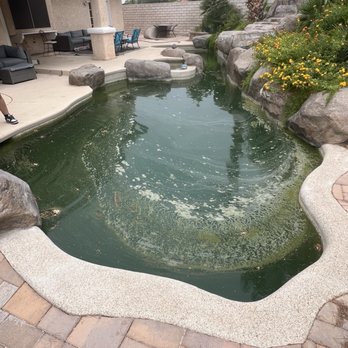 Tiger Shark Pool Service - Green swamp ! - Pool Cleaners Near Me - Las Vegas, Nevada Tiger Shark Pool Service - Green swamp ! - Pool Cleaners Near Me - Las Vegas, Nevada
