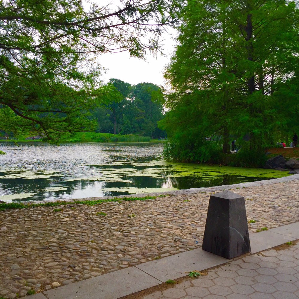 Enjoy a walk Enjoy a walk