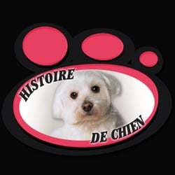 Histoire de Chien