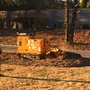 Photo of Stump and Grind