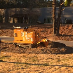 Stump and Grind